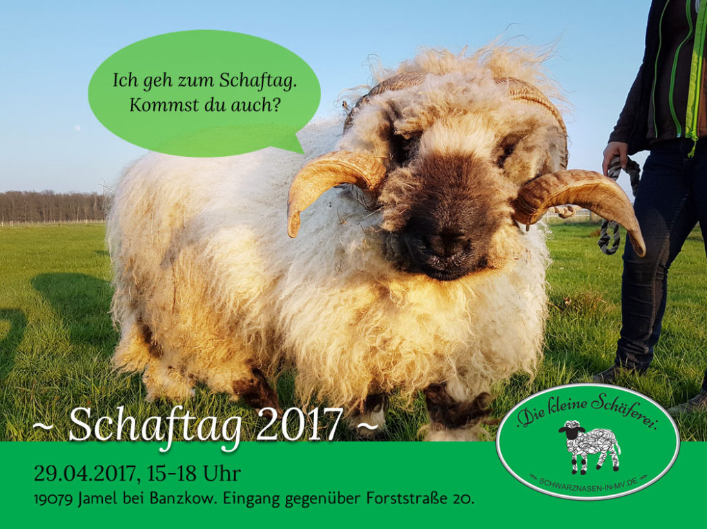 Tag der offenen Tür 2017